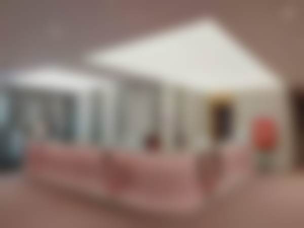 林文君技术优势