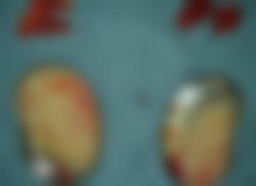 三、骨干医生团队经验多