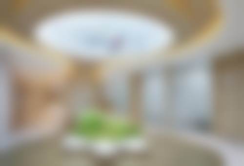 卢元刚执业背景