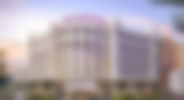 陈智敏医生技术优势