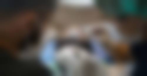 七、黎星医生的行业影响力如何