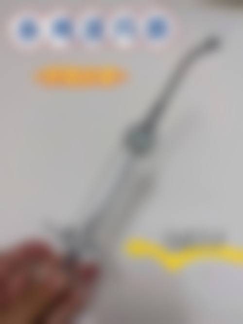 修复的成功实例分析
