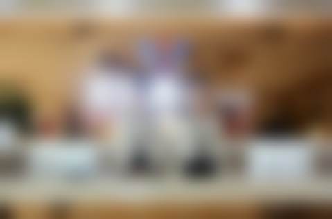 擅长项目介绍