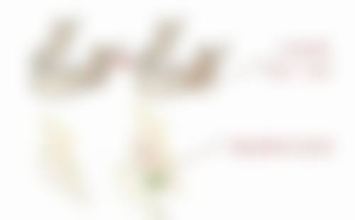 双眼皮手术后洗脸的注意事项
