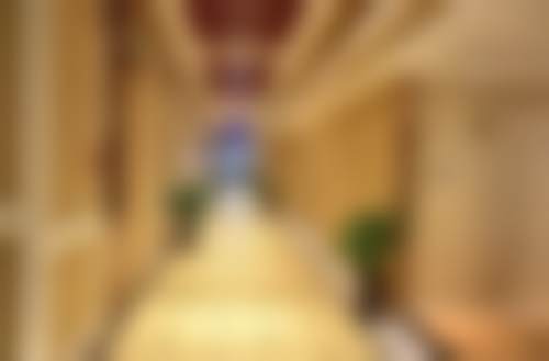 汪贤友技术特点