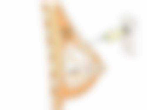 五、国内做去势手术的预约方式