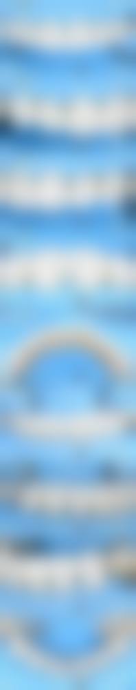 常见问题解答(FAQ)