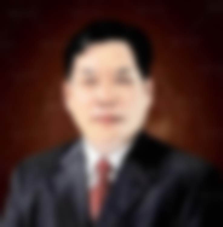 黄万林技术优势