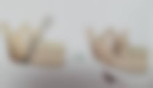 总结与预约号召:立即行动,遇见更美的自己