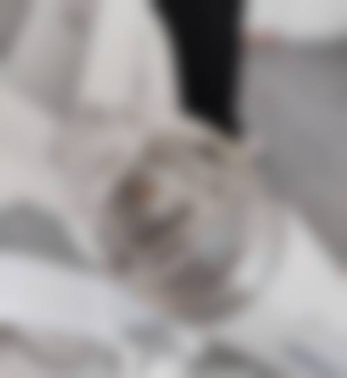 诊疗特色总结