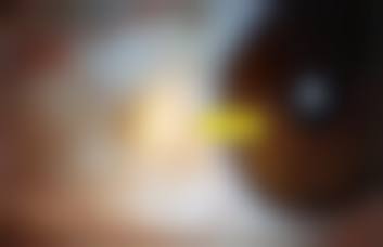 优惠活动详情:原价与优惠价对比