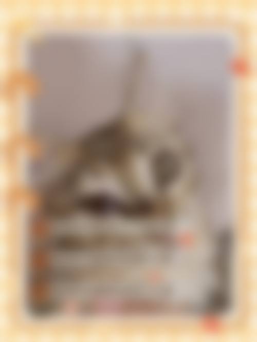 预约优惠活动