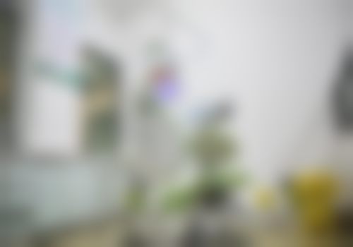 常见问题解答 (FAQ)