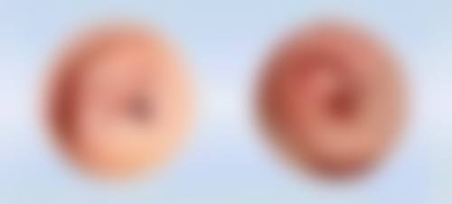 费用及性价比分析