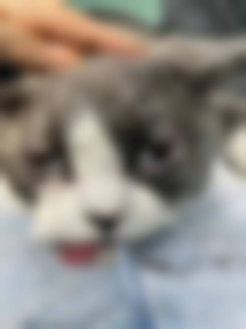 诊疗特色总结