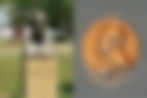 特色科室与数字化项目：覆盖全龄口腔需求