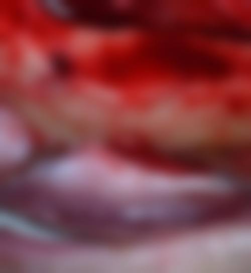 预约优惠活动