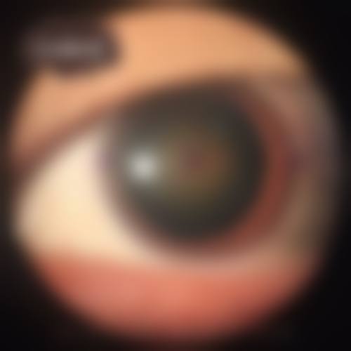 预约优惠活动