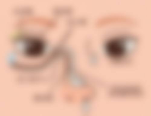 设备环境介绍