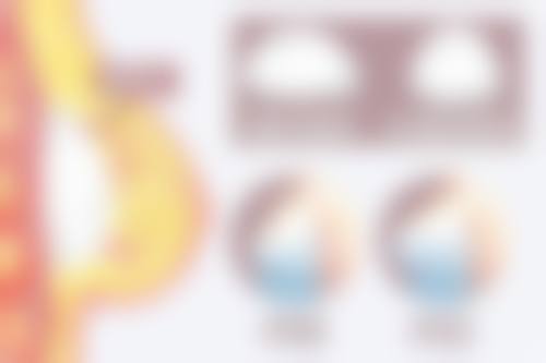 擅长项目详解