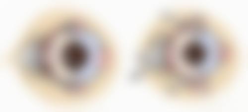 结尾:立即预约,享受专精诊疗