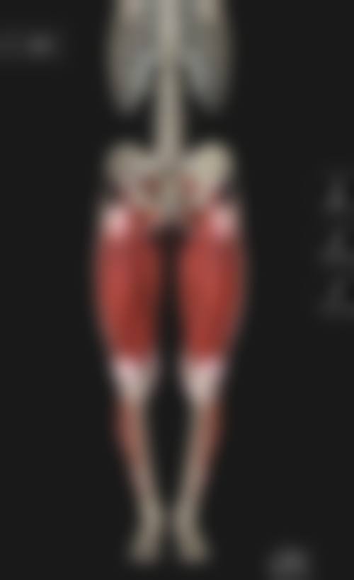 常见问题解答
